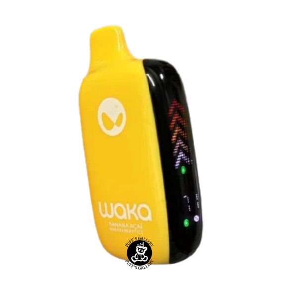 Waka vape 16000 puffs - VapeoMex