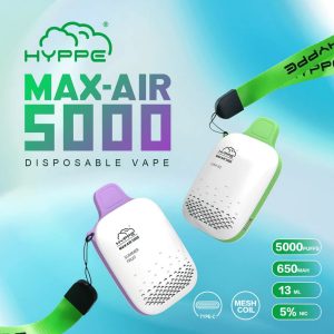 Max Air 5000 puffs